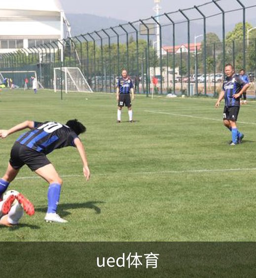 ued体育介绍